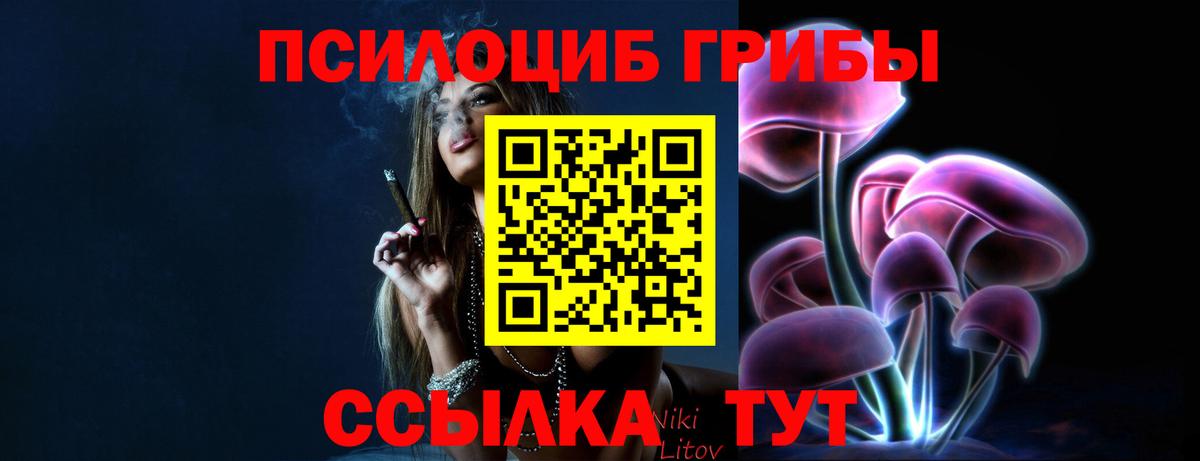 даркнет сайт  Псилоцибиновые грибы ЛСД  Будённовск  Вход с VPN  Псилоцибиновые грибы Psilocybine cubensis 